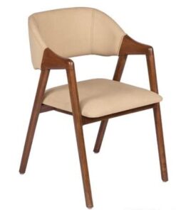 Sky Homes Arm Chair for Living Room, Outdoor, Balcony