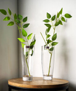 Minimal See-Through Flower Vase
