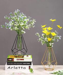 Aashralya™ Hexgon Shaped Metal Wire Glass Tube Vase for Home Decor (Pack of 1) (Black)
