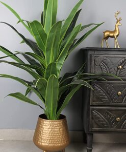 Elemntl Artificial Large Floor Plant with Plastic Pot for Home Decor (Height: 4 feet) | Decoration Items for Living Room | Decorative Table Top Indoor Plants Bonsai for Office (Dragon Plant 4 feet)