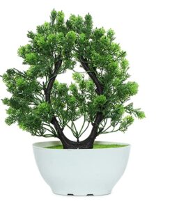 Anaaya Creations Artificial Bonsai Plants with White Pot Round Shape Artificial Plants for Home & Office Table Decoration (Size - 29 x 6 Cm, Color - Green)