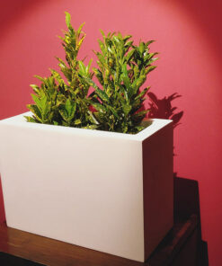 Auriga White FRP Planter