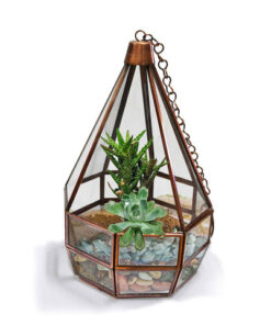 Cone Tower Terrarium