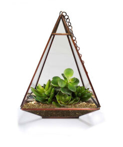 Triangular Tower Terrarium