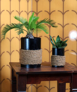 Charcoal Black in Jute Metal Pot