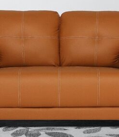 Max 2 Seater Sofa in Tan Colour