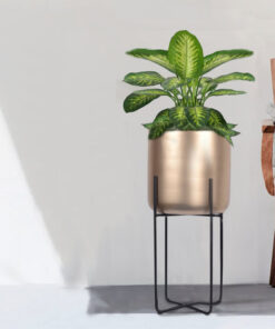 Minimalist Aurelia Indoor Planter